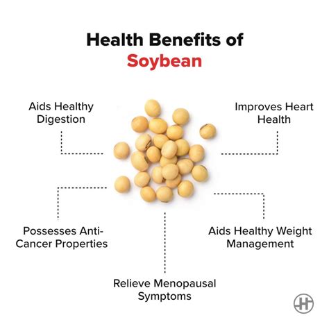 Soybean - Benefits, Nutrition Value & Recipes - HealthifyMe