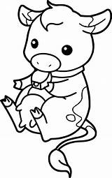 Baby Cow Coloring Sheet Pages sketch template