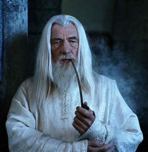 Ian McKellen as Gandalf for ever | Lord of the rings, The hobbit, Tolkien