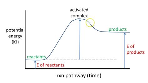 Energy Diagram For Endothermic Reaction