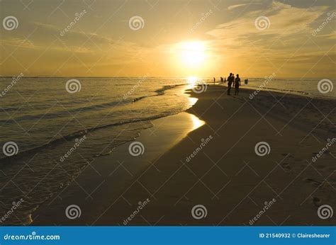 Tropical Maldives Island Sunset Stock Photo - Image of seascape, maldivian: 21540932