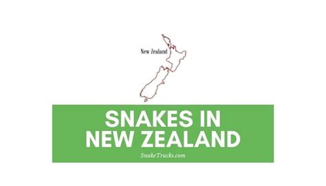 Snakes in New Zealand (2 Species) - SnakeTracks.com