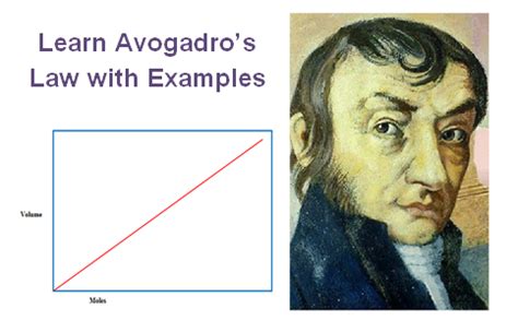 What is Avogadro's Law? Learn with Avogadro's Law Examples - Tricky Edu