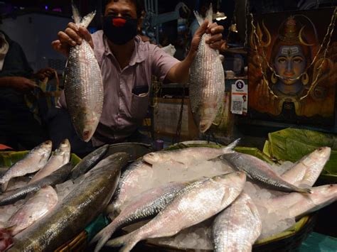 20 tonnes of Padma hilsa hit Kolkata markets after 8 years, 80% stock ...