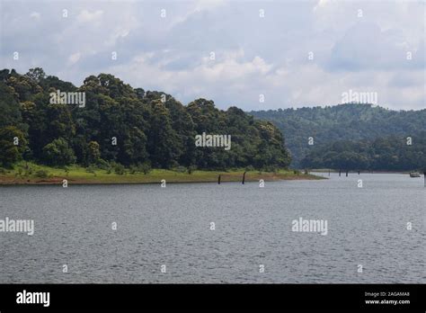 Periyar River and Wildlife Sanctuary in Kerala Stock Photo - Alamy