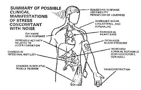 NPC Library: Noise Effects Handbook