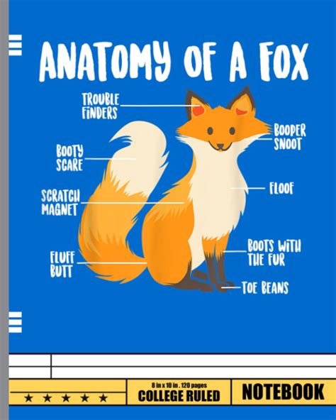 Anatomy Of A Fox Notebook: Foxes Notebook Journal Dairy - 120 Page ...