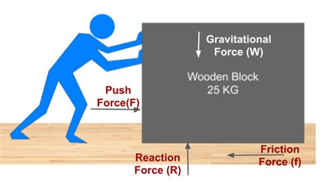 37 draw a free body diagram for the weight lifter - Diagram For You