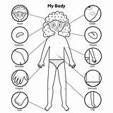 Body Coloring Pages For Preschoolers sketch template
