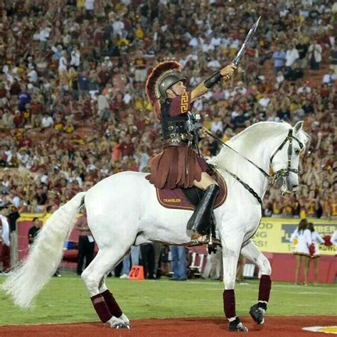 USC Football Traveler USC Football Mascot Coliseum Los Angeles Most ...