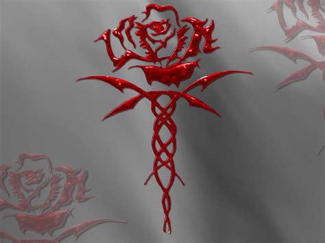 Blood Rose Wallpapers - Wallpaper Cave