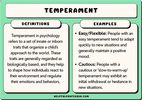 Understanding The 3 Types Of Temperament Psychology