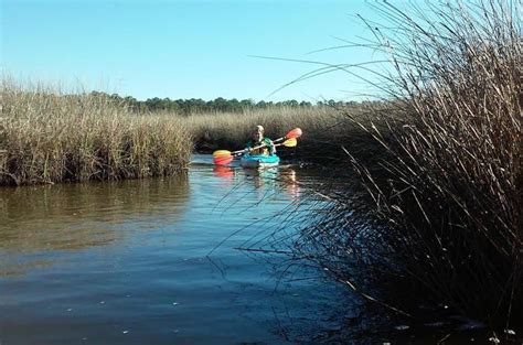 Bon Secour National Wildlife Refuge Kayak Tour