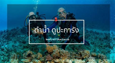 7 Must-Do Activities in Phuket for Travelers. - Best of Thailand