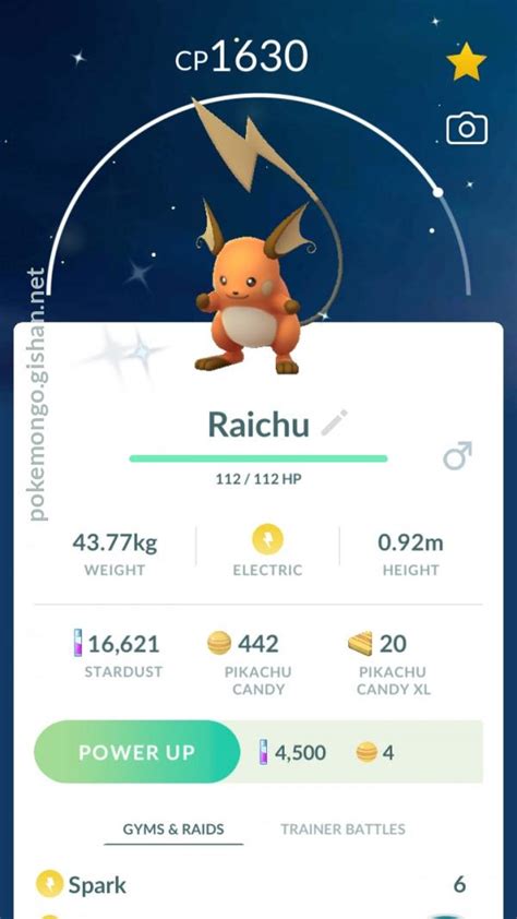 Shiny Raichu - Pokemon Go