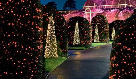 Grays Blog: Christmas at Kew Gardens!