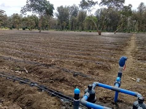 Drip Irrigation Installation Service in Dehradun | ID: 27255184462