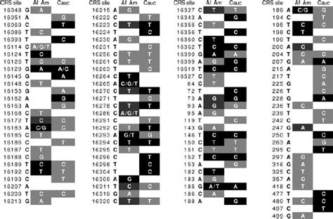 SNPs determined by phylogenetic analysis of the African American and... | Download Scientific ...