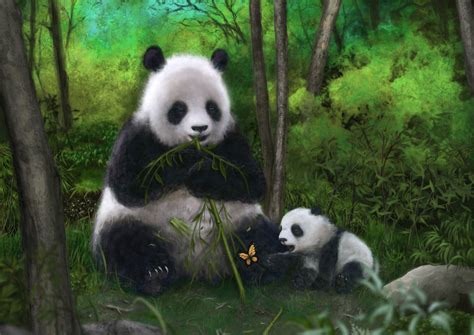 Panda Bear Wallpapers - Top Free Panda Bear Backgrounds - WallpaperAccess