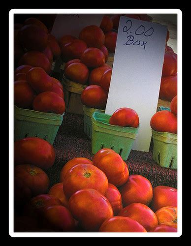 Fulton Street Farmers Market ~ Fresh Tomatoes for Sale | Flickr