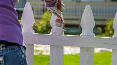 How to paint a fence: an expert step-by-step | Homes & Gardens