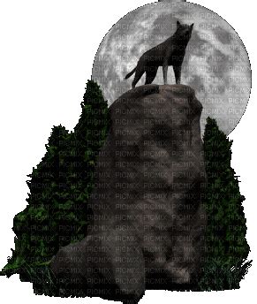 Howling Wolf Animated Gif