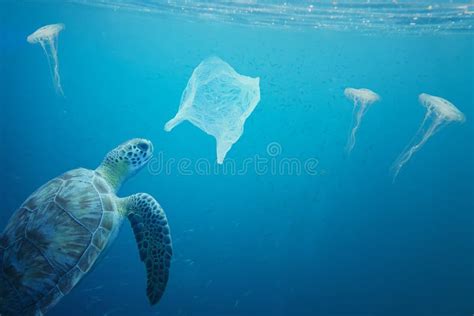 Leatherback Turtle Eating Plastic Bags