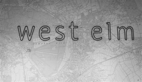 West Elm - Kingston on Thames - Molesey Life