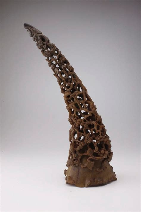 Carved rhinoceros horn by Unknown :: The Collection :: Art Gallery NSW