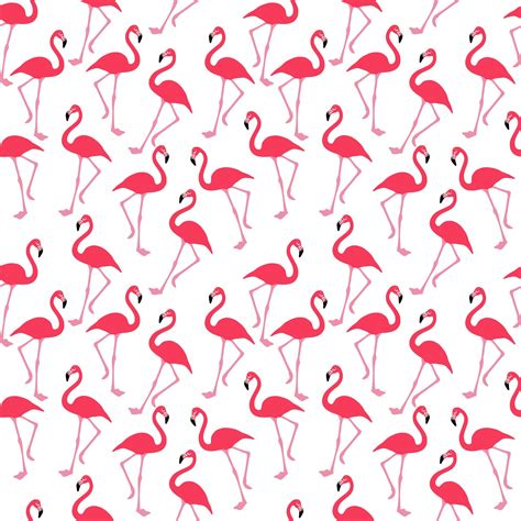 Cartoon Flamingo Wallpapers - Top Free Cartoon Flamingo Backgrounds ...