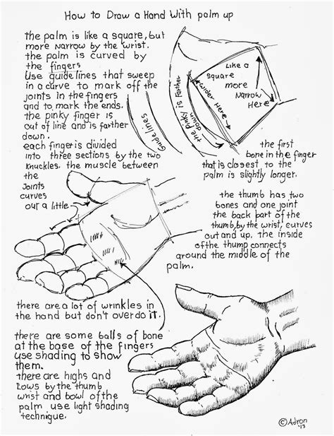 How to Draw Worksheets for The Young Artist: How To Draw A Hand Held Out With Palm Up.