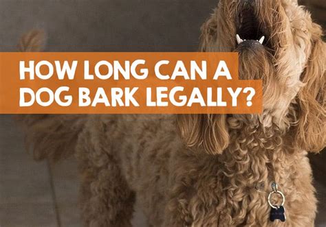 How Long Can a Dog Bark Legally (UK & United States)?