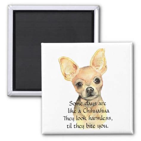 Chihuahua Quote : 16 Best Chihuahua Quotes and Sayings - Page 4 - The Paws - Aw, hewwo, widdle ...