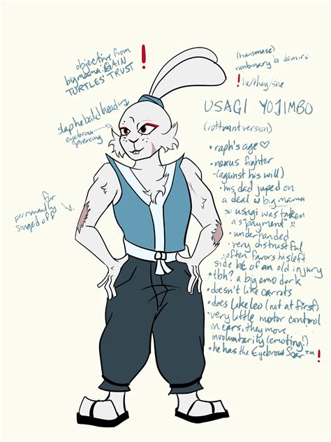 rider ☽☾ CEO of COLLEGE on Twitter: "my official rottmnt usagi design! he's rotating in my mind ...