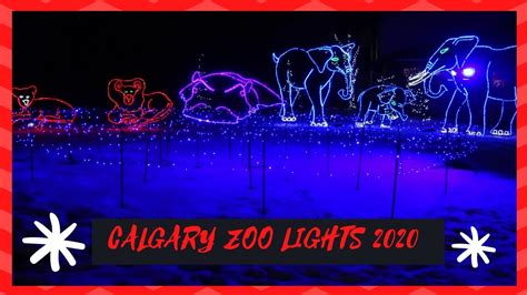 CALGARY ZOO LIGHTS 2020 | Amazing Christmas light display at the Calgary Zoo! - YouTube