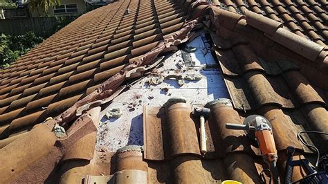 Top 5 Causes of Roof Damage | Done Rite Roofing | Clearwater | Tampa Bay