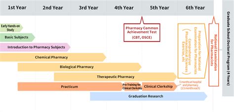 Curriculum of College of Pharmaceutical Sciences | College of Pharmaceutical Sciences ...