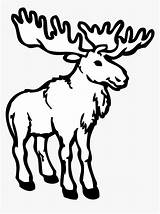 Deer Coloring Book Alaska Moose Adult Clip Art  Pages sketch template