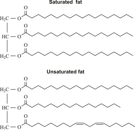 Saturated fat @ Chemistry Dictionary & Glossary