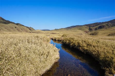 Dzukou Valley trek by yourself - practical guide