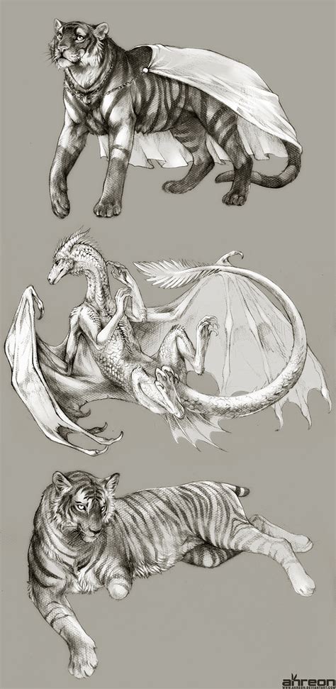 sketch commissions - tiger, dragon by akreon on DeviantArt