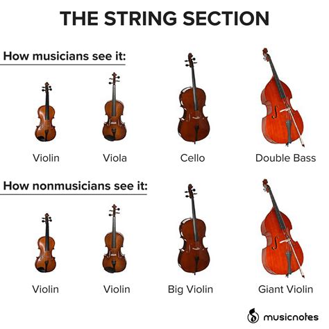 Violin Memes