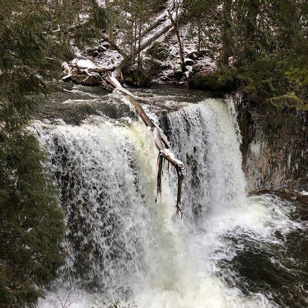 Hoggs Falls (Flesherton) - 2019 All You Need to Know BEFORE You Go ...