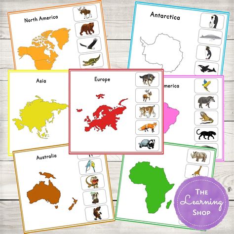 Animal Continents Activity Sheets - Etsy | Continents activities ...