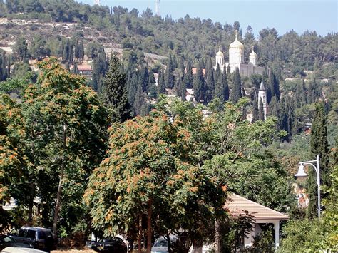 ירושלים: עין כרם