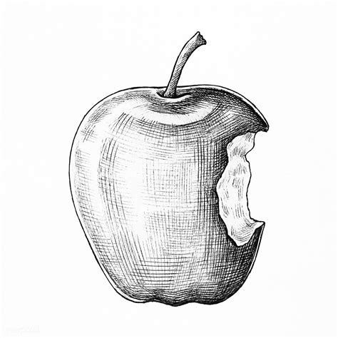 Download premium illustration of Hand drawn bitten apple fruit 1200216 | How to draw hands ...