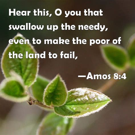 Amos 8:4 Hear this, O you that swallow up the needy, even to make the ...