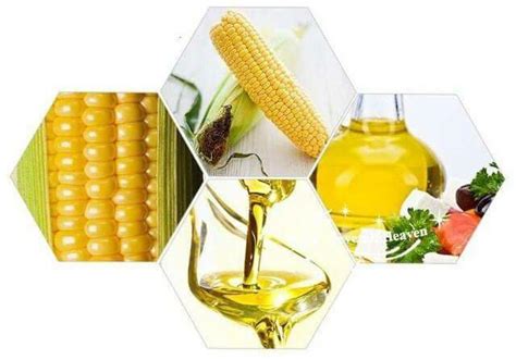 Corn Oil Extraction Plant - Edible Oil Expeller Machinery