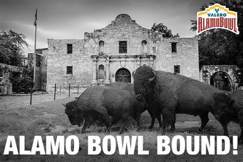 Buffs’ Next Stop: The Alamo Bowl | Alumni Association | University of ...