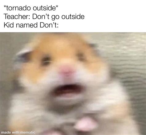 Tornado drill : r/memes